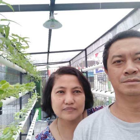 Titan'S Greenhouse Banyuwangi  Eksteriør billede
